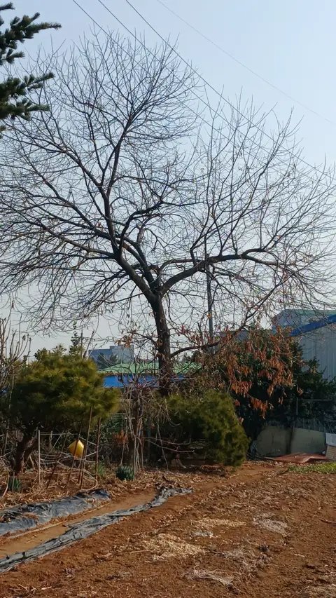 조경 정리 작업 경기 양주