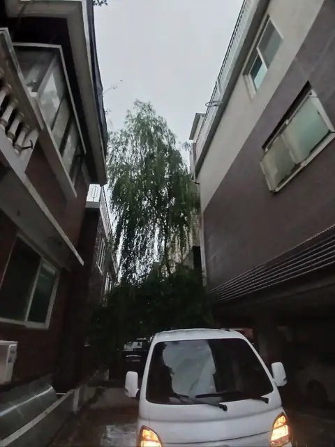월담목 제거 충북 충주