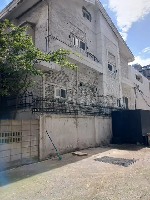 나무 벌목 경기 과천