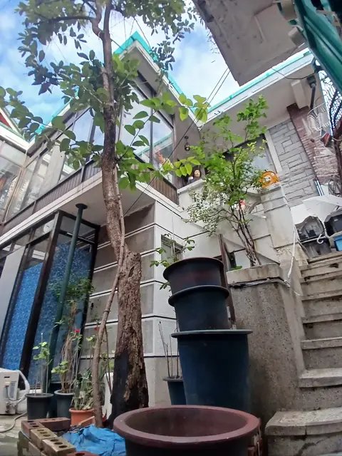 위험목 제거 충북 청주
