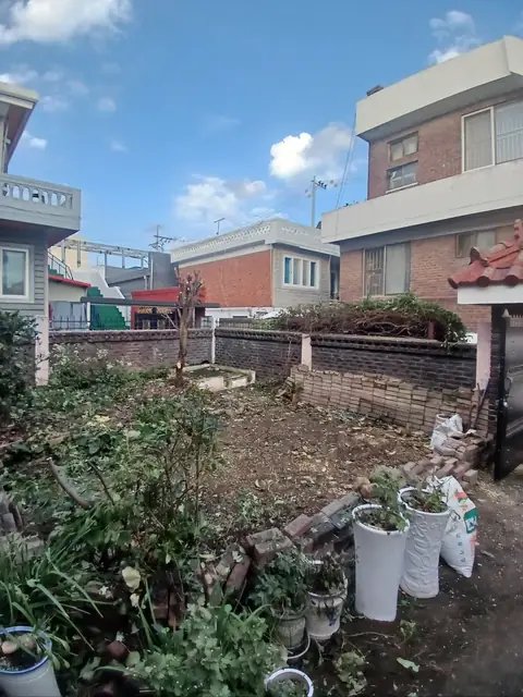 고사목 제거 충북 청주