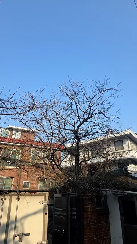 조경 정리 작업 경기 안성