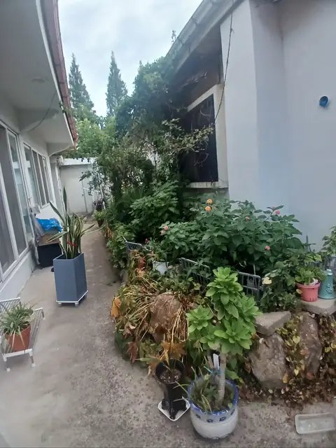 고사목 제거 경기 광주