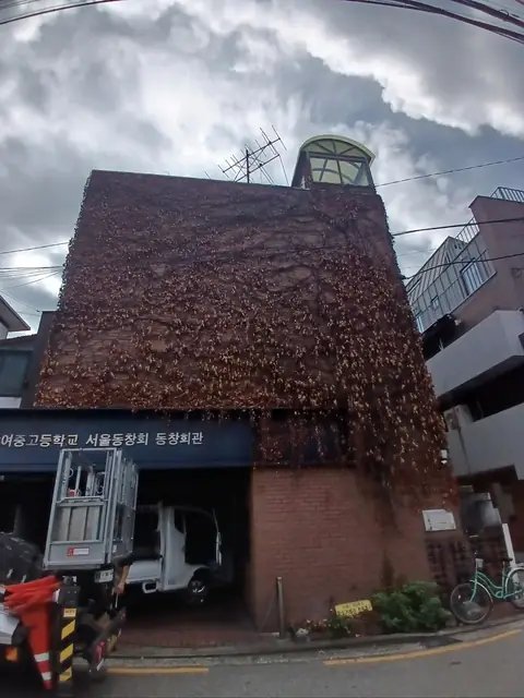 벌목 후 정리 서울 성북구