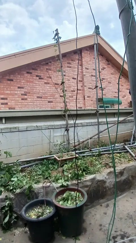 조경 정리 작업 경기 고양
