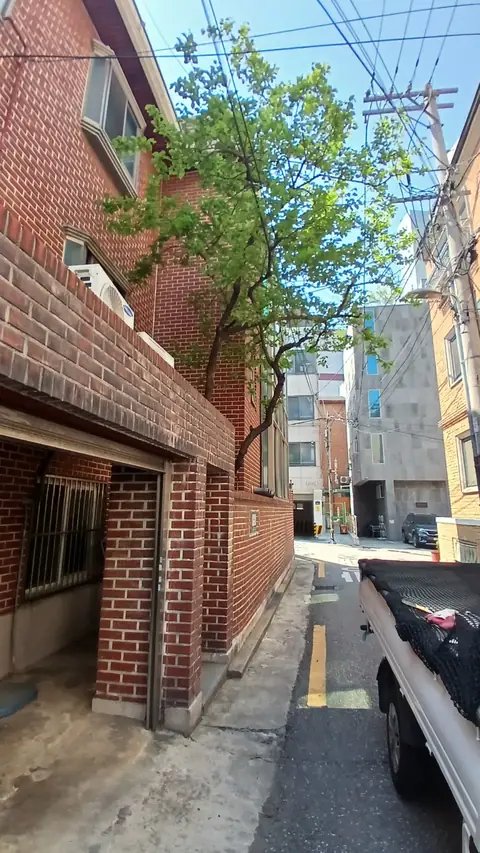 벌목 후 정리 경기 김포