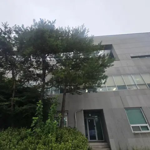 생활목 벌목 서울 강북구