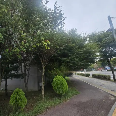 조경 정리 작업 서울 중구