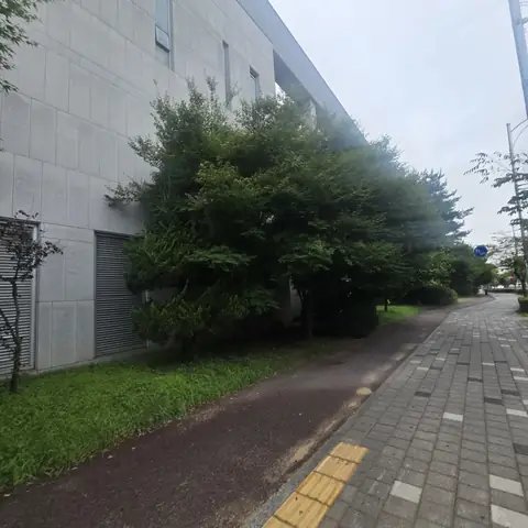 위험목 제거 경기 화성