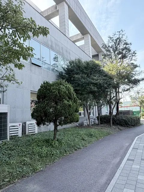 가지치기 작업 서울 종로구