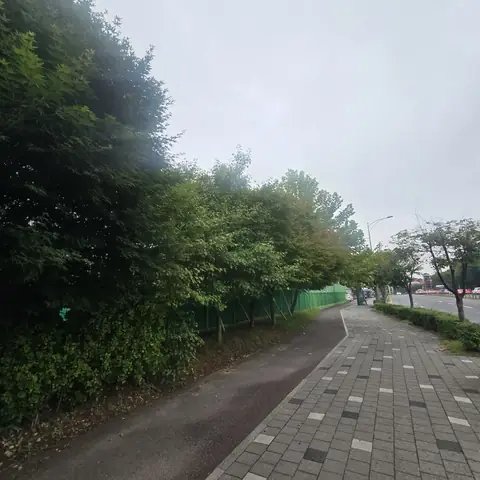 예초·벌초 작업 경기 시흥