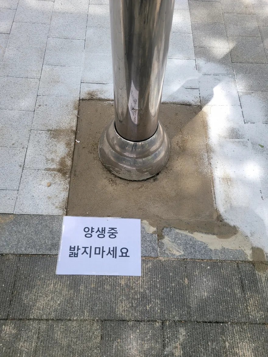 스테인리스 기둥 기초 주변을 몰탈로 마감하고 양생 중인 상태입니다.