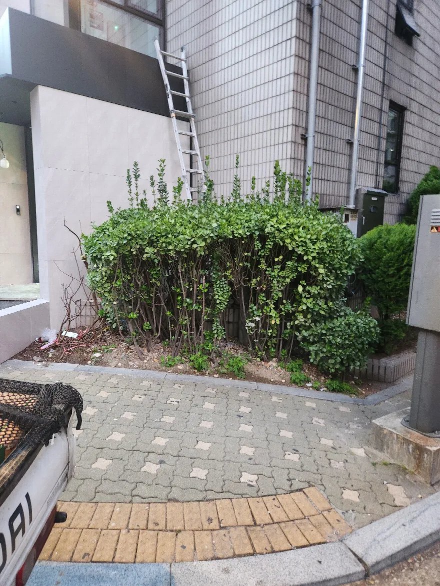 건물 앞 화단 옆 인도 구간의 보도블럭이 정리된 모습입니다.