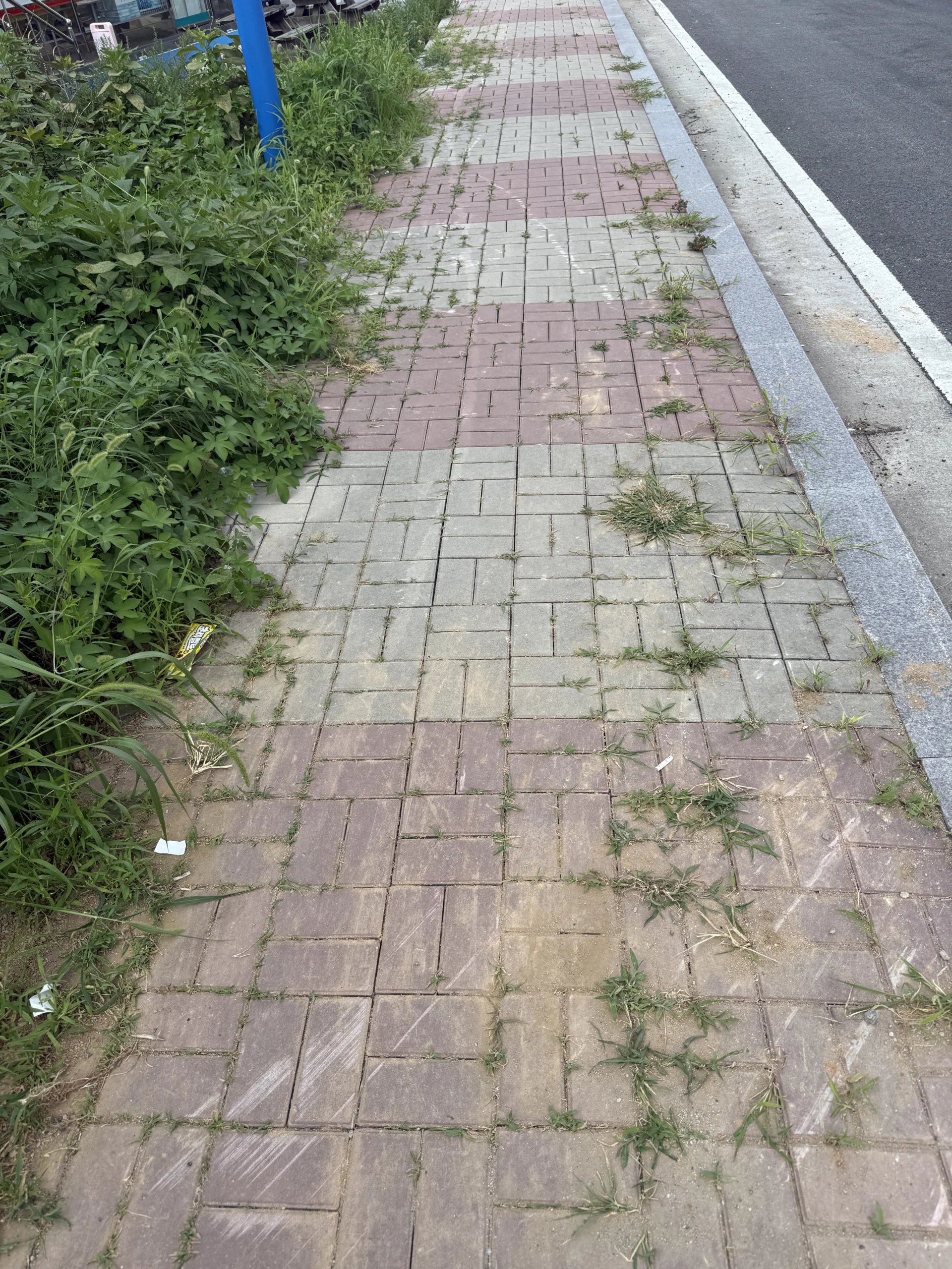보도블럭 구간을 촬영한 사진으로, 블록 표면이 얼룩지고 낡아 있으며 이음새 사이로 잡초가 다수 자라 있습니다.