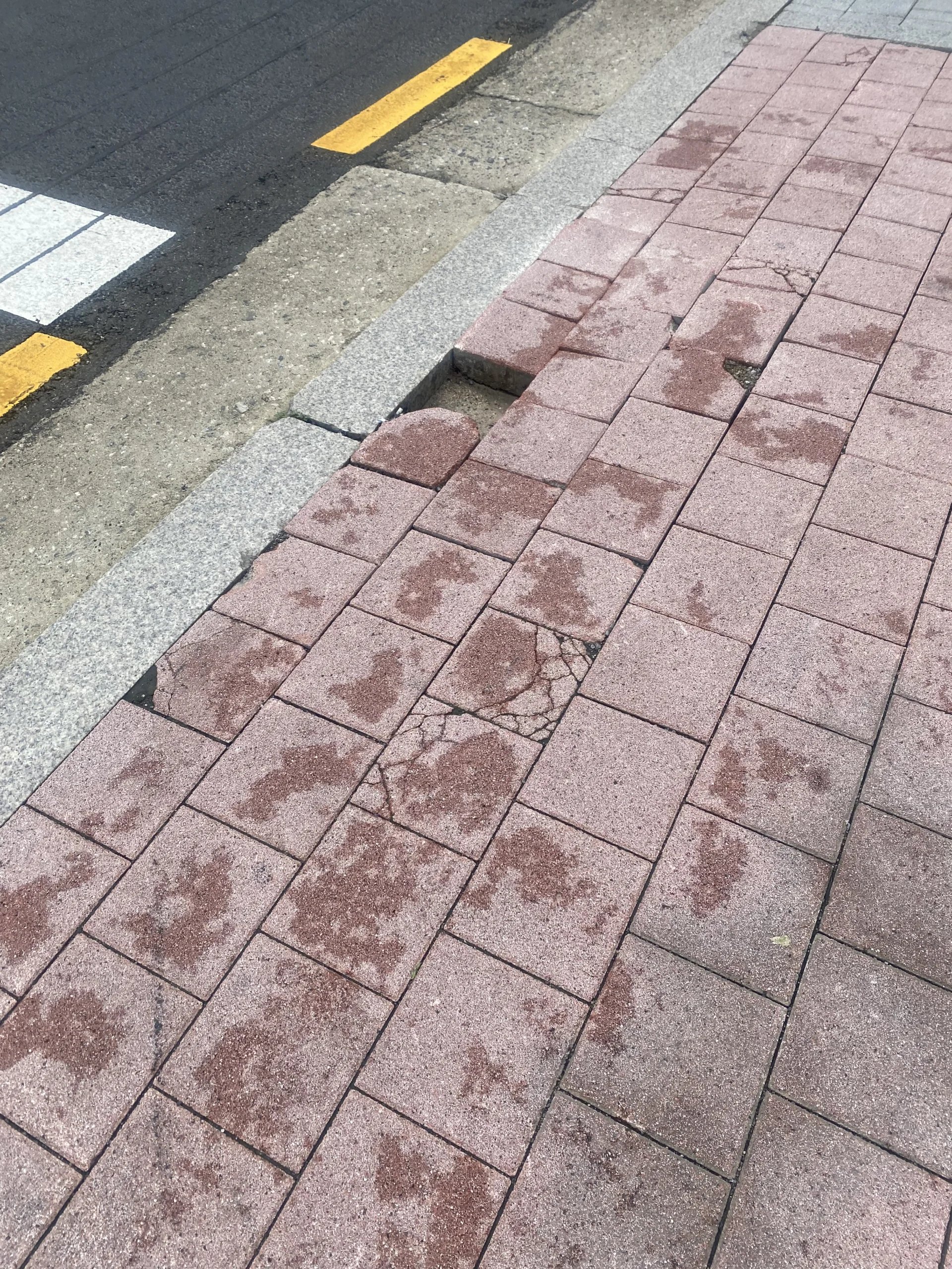 인도 블럭 보수 (점검) · 경기 광명
