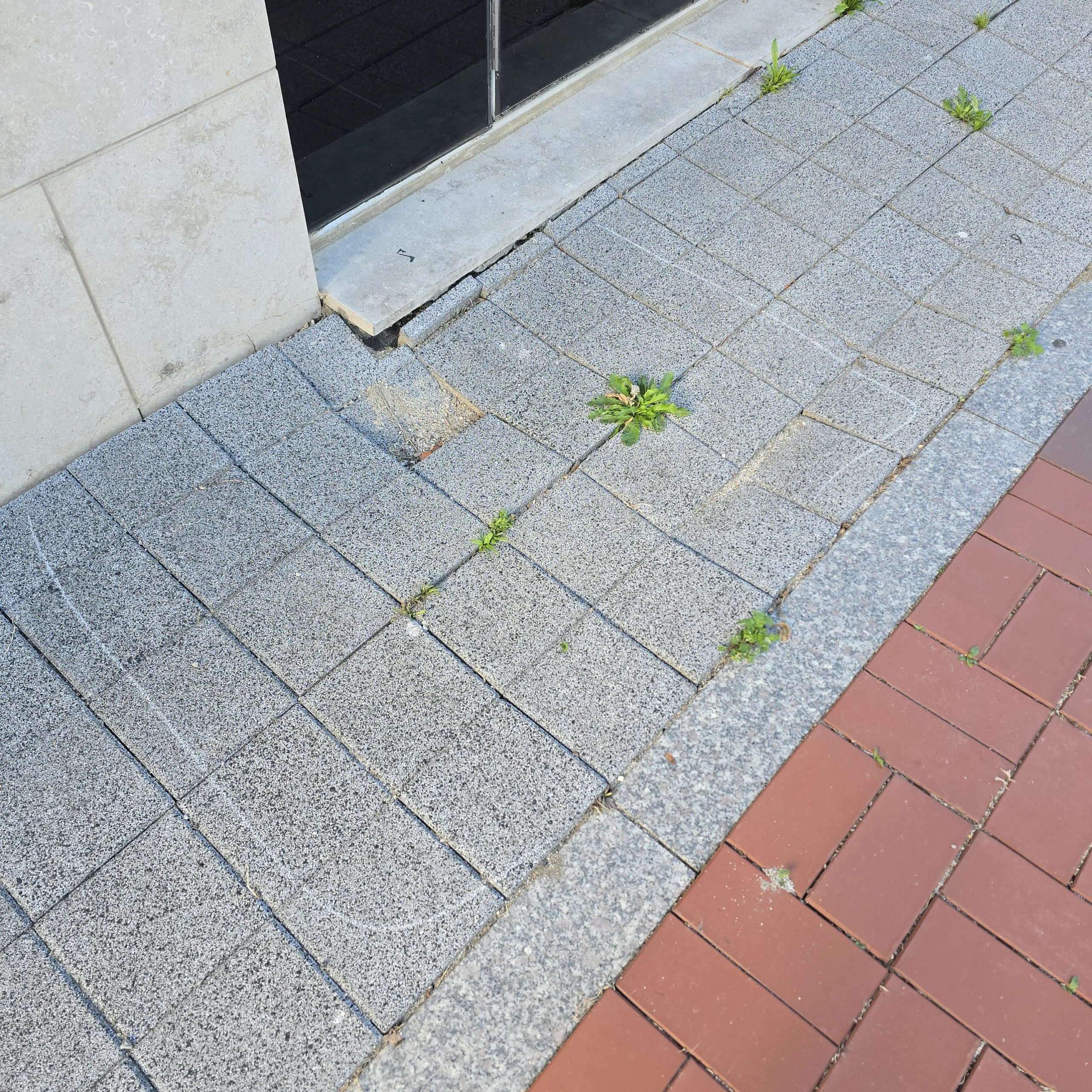 보도블럭 들뜸 수리 (점검) · 서울 용산구
