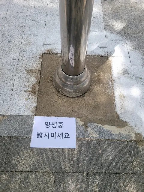 보차도 경계 시공 경기 광주