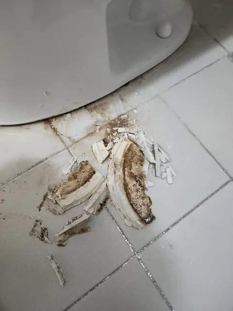 화장실 타일 교체 경기 군포
