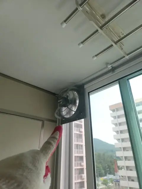 Windows & Vent Fans 경기 의왕