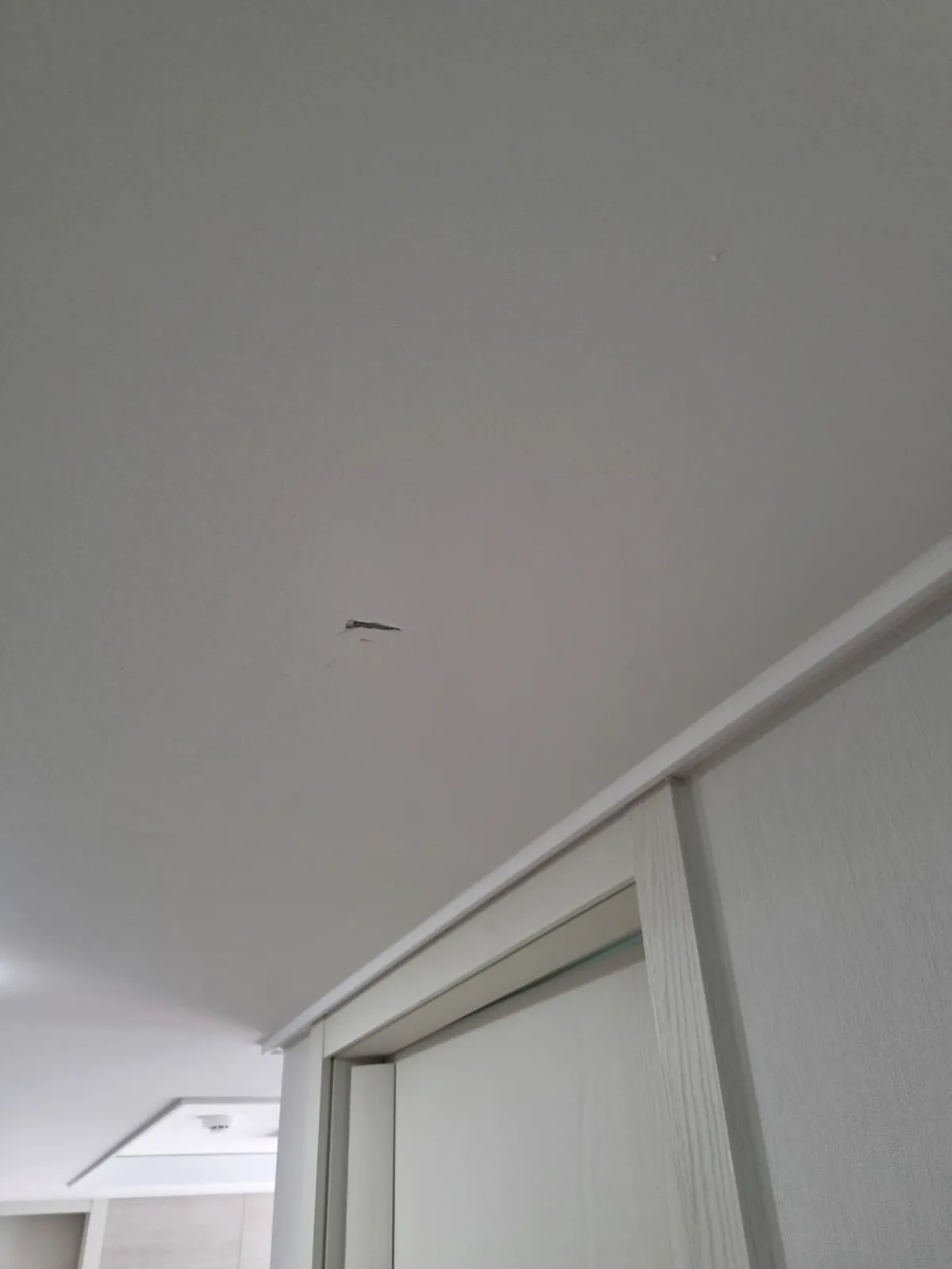 천장 벽지에 생긴 작은 찢김 자국 도배 부분 보수 — 천장 벽지에 생긴 작은 찢김 자국